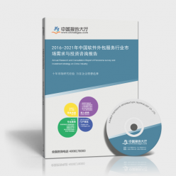 2016-2021年中國軟件外包服務行業(yè)市場需求與投資咨詢報告